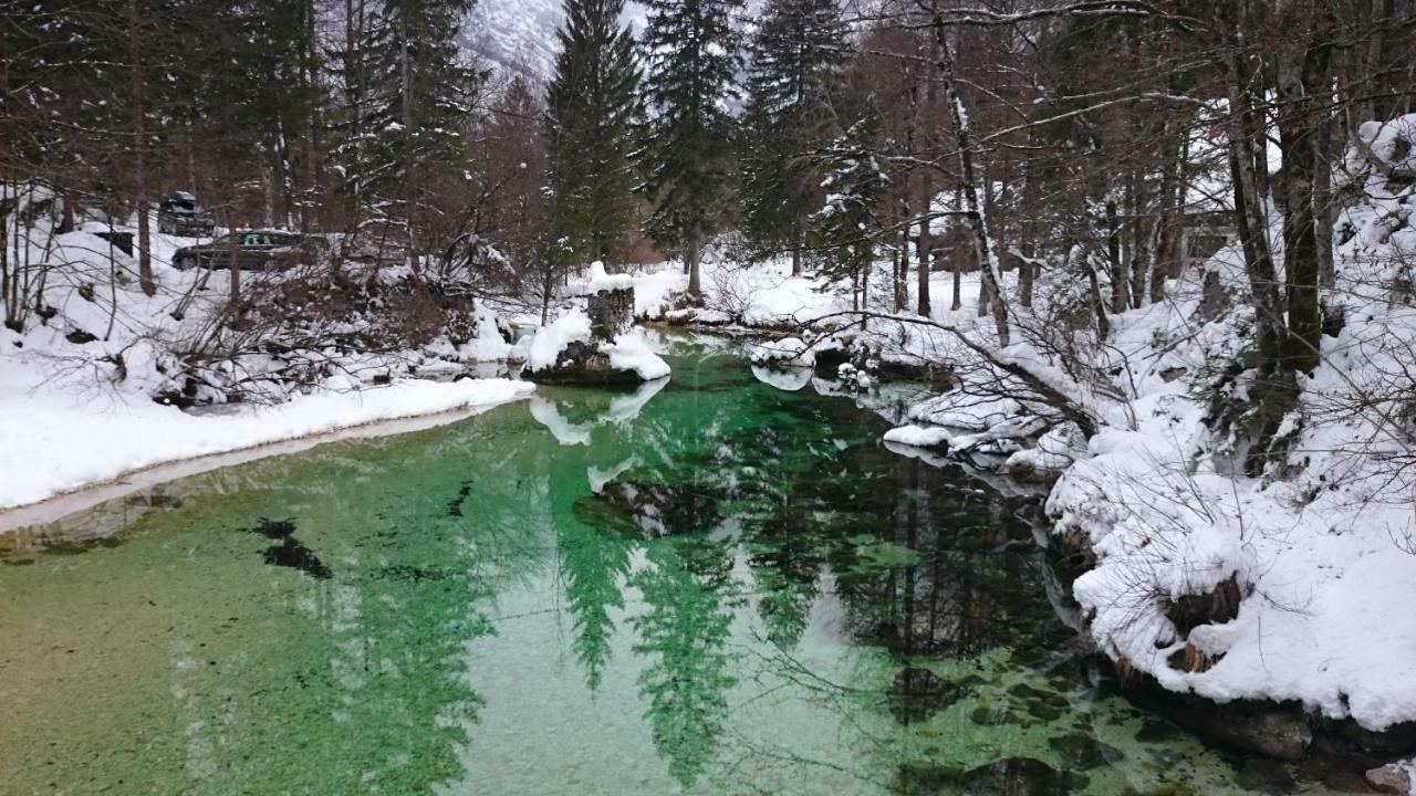 Apartment Amazing View Bohinj Esterno foto