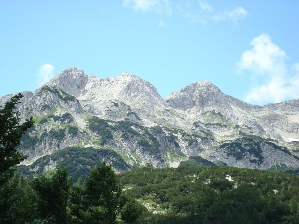 Apartment Amazing View Bohinj Esterno foto